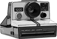 Polaroid